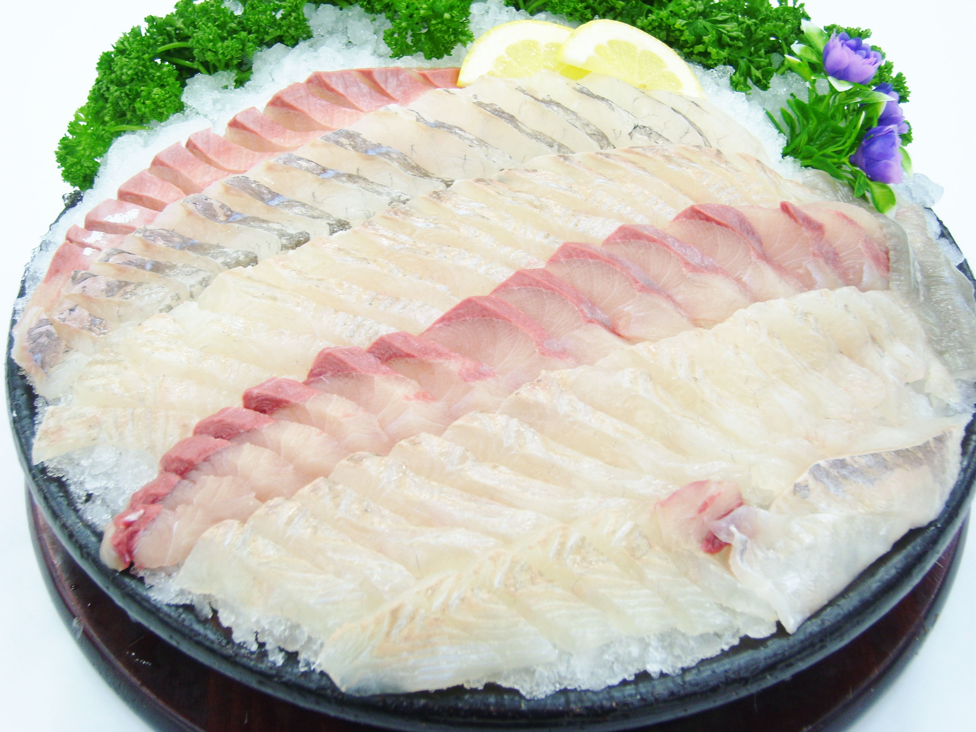 광어1.jpg