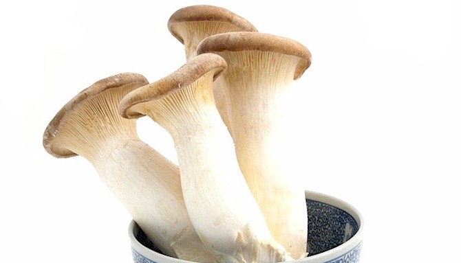 버섯3.jpg