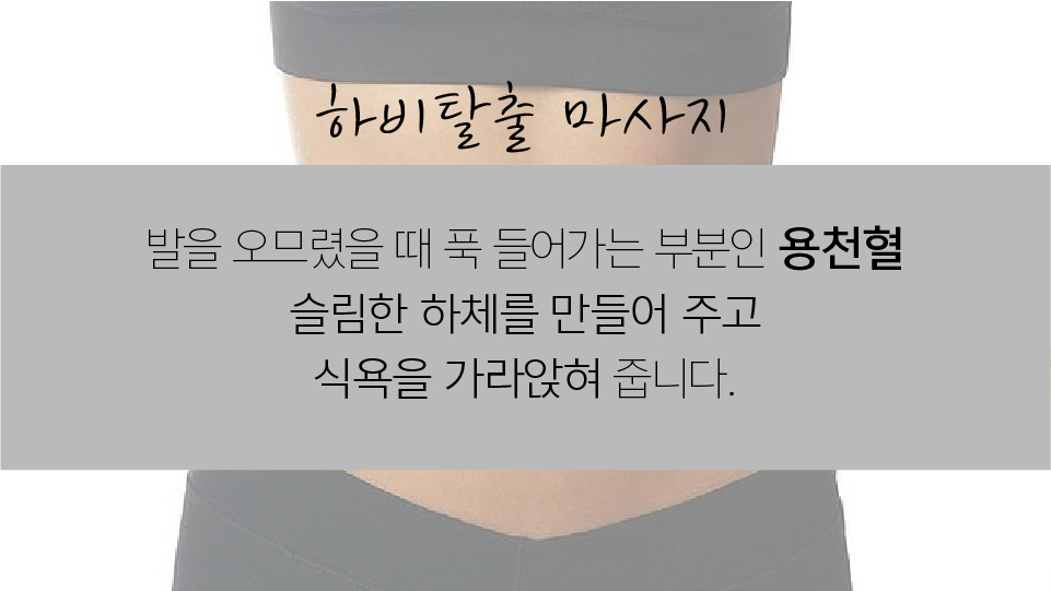 하비1.jpg