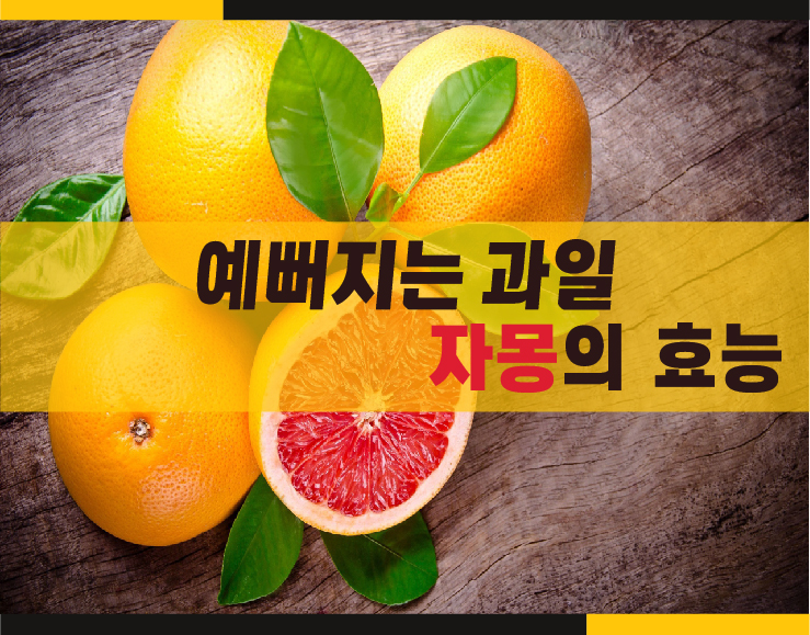 블로그메인.jpg