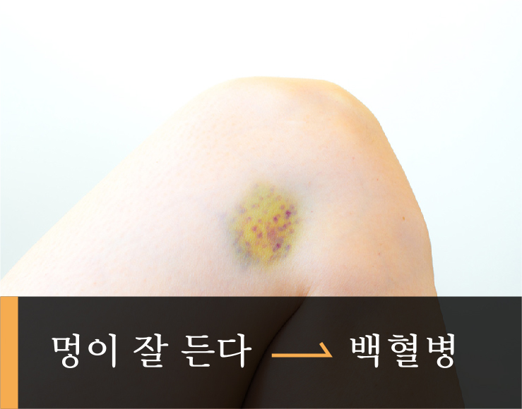 01_백혈병-03.jpg