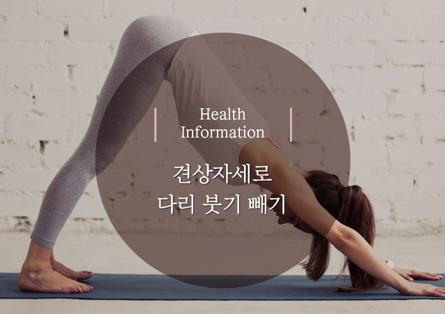 0221_(내부썸네일)견상자세px640x452.jpg